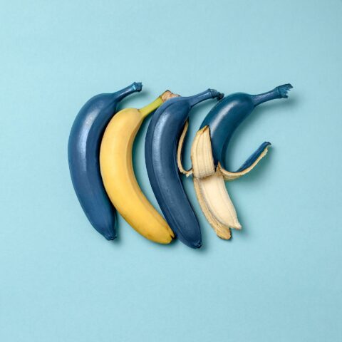 creativity-creative-thinking-good-ideas-concept creativity-creative-thinking-good-ideas-concept